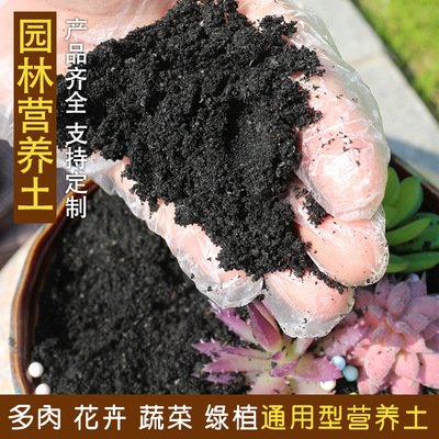 鏈接農(nóng)業(yè)全鏈 智繪田園未來(lái)——探索立體化綠色農(nóng)業(yè)矩陣的現(xiàn)在與遠(yuǎn)方